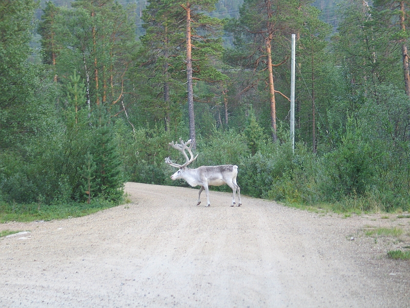 Original image